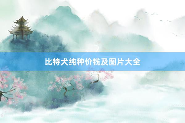 比特犬纯种价钱及图片大全